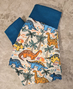 Fabric Choice- Multicoloured Dinosaurs